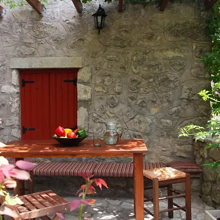 Menelia * Platístoma