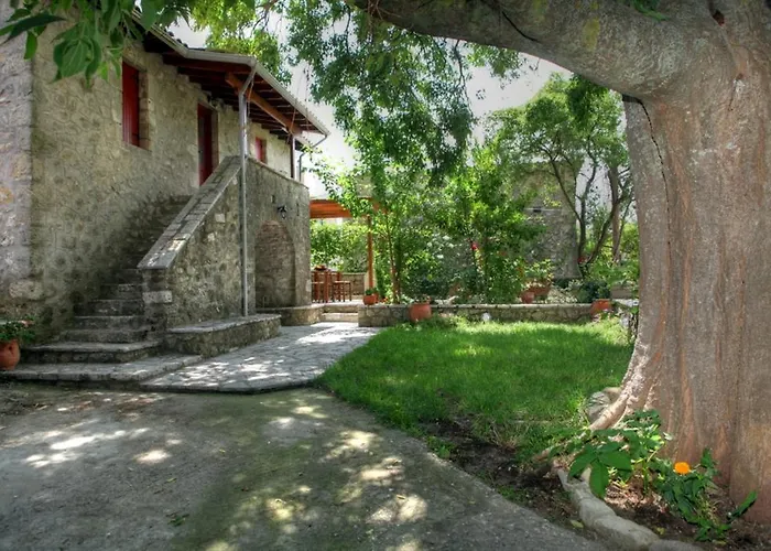 Menelia * Platistoma